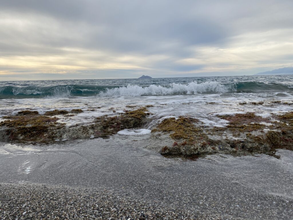 komos beach, esthea hospitality group